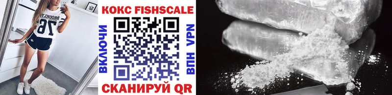 Купить закладки Олёкминск Кокаин FishScale