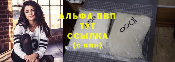 PSILOCYBIN Богданович