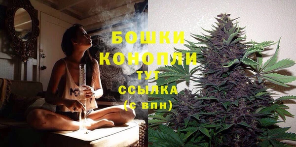PSILOCYBIN Богданович