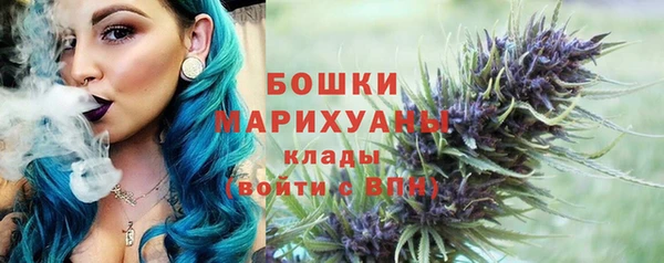 PSILOCYBIN Богданович