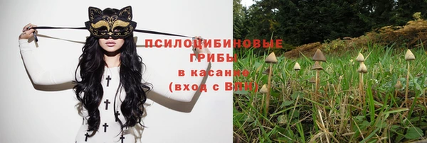 амфетамин Богородск